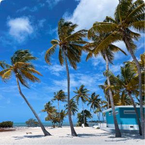 Best Beaches in Key Largo