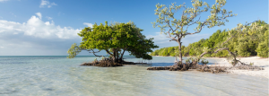 Best Beaches in Key Largo