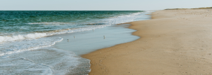 Doheny State Beach